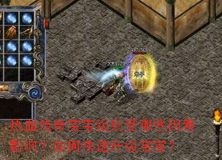 热血传奇宝宝级别受哪些因素影响?如何快速升级宝宝? 热血传奇宝宝级别受哪些因素影响?如何快速升级宝宝?