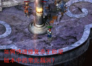 ��ο����޸�ɱ���ƻʰ汾�еĳ���©����