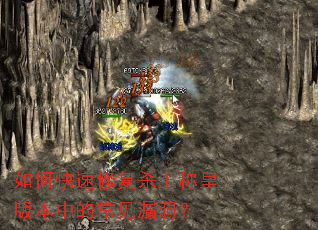 ��ο����޸�ɱ���ƻʰ汾�еĳ���©����