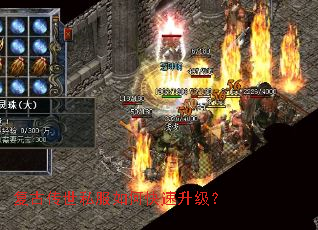 ���Ŵ���˽����ο���������