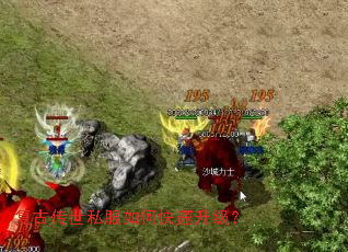 ���Ŵ���˽����ο���������