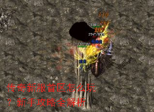 传奇新服首区怎么玩?新手攻略全解析 传奇新服首区怎么玩?新手攻略全解析