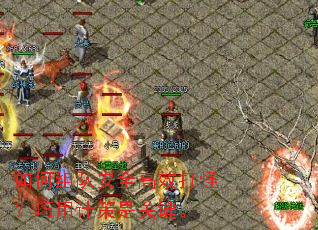 �����Ӱ�ȫ��Ч��֣����üƲ��ǹؼ���