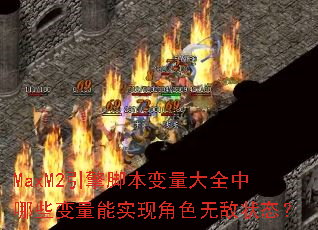 MaxM2����ű�������ȫ����Щ������ʵ�ֽ�ɫ�޵�״̬��