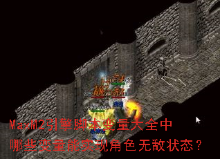 MaxM2����ű�������ȫ����Щ������ʵ�ֽ�ɫ�޵�״̬��