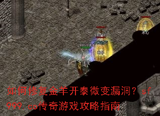 ����޸�����̩΢��©����sf999.co������Ϸ����ָ��