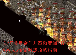 ����޸�����̩΢��©����sf999.co������Ϸ����ָ��