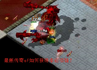 ���´���sf��λ������������