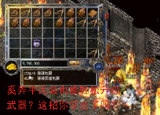 ��Ūƽ��װҲ����������������������ѧ������