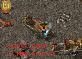 С��������ѡ��ʦְҵ����������ս����