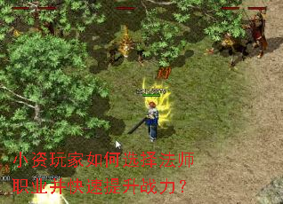 С��������ѡ��ʦְҵ����������ս����