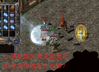 С��������ѡ��ʦְҵ����������ս����