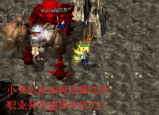 С��������ѡ��ʦְҵ����������ս����