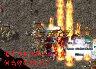 ��ʿ��ʦʵս���ԣ���θ�Ч����BOSS��