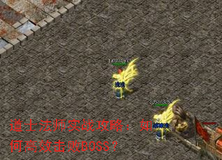 ��ʿ��ʦʵս���ԣ���θ�Ч����BOSS��