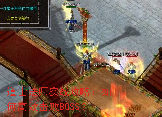 ��ʿ��ʦʵս���ԣ���θ�Ч����BOSS��