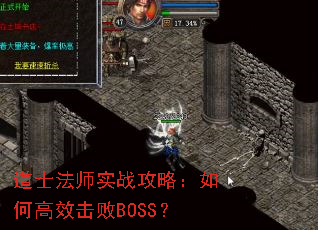 ��ʿ��ʦʵս���ԣ���θ�Ч����BOSS��