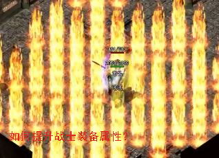 �������սʿװ�����ԣ�