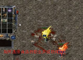 ���ѡ����ʵ�ְҵ���ɹ���ʦ��