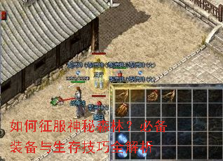 �����������ɭ�֣��ر�װ�������漼��ȫ����