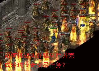 �����ս��Ұ����ʦ��������紫�潻������