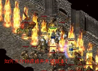 �����������ͨ������������