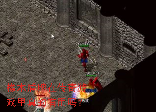 ��ľ�����ڴ�����Ϸ�����������