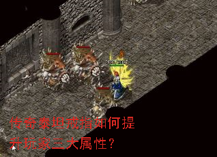 ����̩̹��ָ�����������������ԣ�