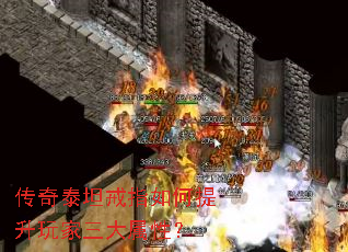 ����̩̹��ָ�����������������ԣ�