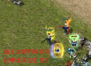 ��ʿ���������ʥս������Ч��֣�