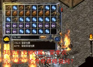 �귨��ʷNPCƪ������ũ���ϣ��Ĵ��湥�����ʣ�