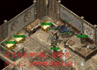 �귨��ʷNPCƪ������ũ���ϣ��Ĵ��湥�����ʣ�