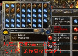 �귨��ʷNPCƪ������ũ���ϣ��Ĵ��湥�����ʣ�