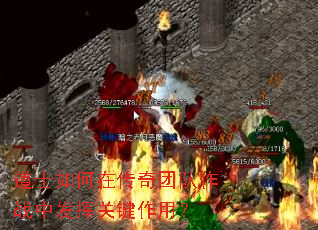 ��ʿ����ڴ����Ŷ���ս�з��ӹؼ����ã�