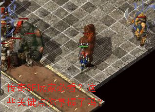 ����SF��ұؿ�����Щ�ؼ�������������