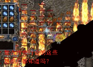 复古传奇行会的这些功能你都知道吗? 复古传奇行会的这些功能你都知道吗?