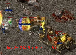 ƽ�����ѡ���ĸ�ְҵ����ʣ�