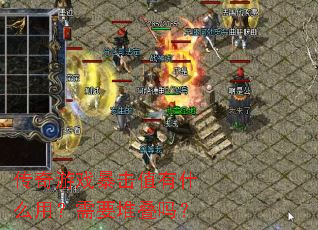 ������Ϸ����ֵ��ʲô�ã���Ҫ�ѵ���