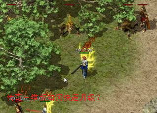 ������ά����ο���������