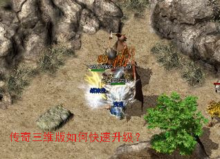 ������ά����ο���������