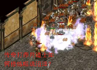 �������µ�ʿ��������ɻ�����