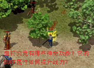 Ѫ����������Щ���湦�ܣ�����BUFF�����������ս����