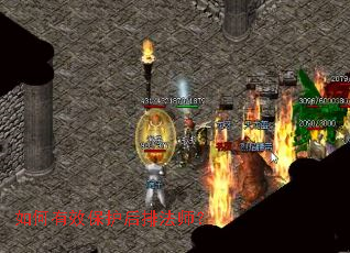 �����Ч�������ŷ�ʦ��