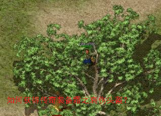 ��λ�ô���װ��˪֮����ͷ����