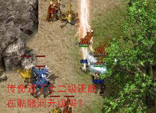 �������ʮ�������������ö�������