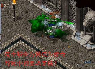 ��ʿְҵΪ�γ�Ϊ������Ϸ�е����֧����