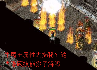 ţħ�����Դ���أ���Щ���ؼ������˽���