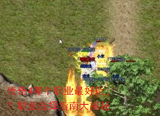 ����4�ĸ�ְҵ����棿ְҵѡ��ָ�ϴ����