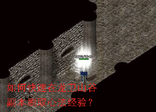 如何快速在龙卫山谷副本刷取心法经验? 如何快速在龙卫山谷副本刷取心法经验?