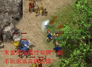 ��ȸ��ָ������Σ�������Ҹ����ѡ��